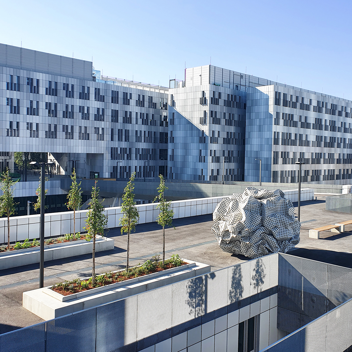 At Medical University of Graz